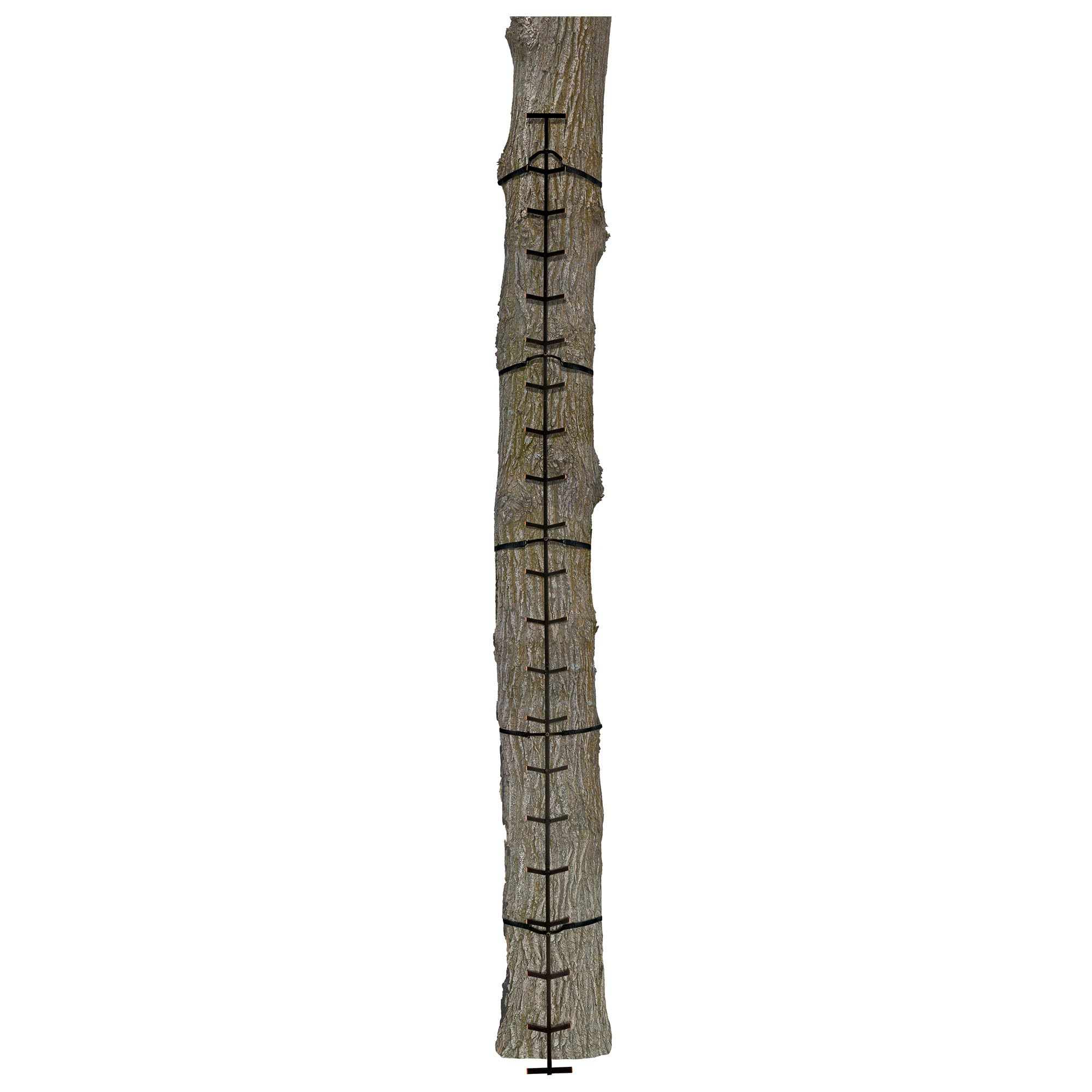 Muddy Quick Stick XL climbs up to 20 feet for elevated hunting and viewing.