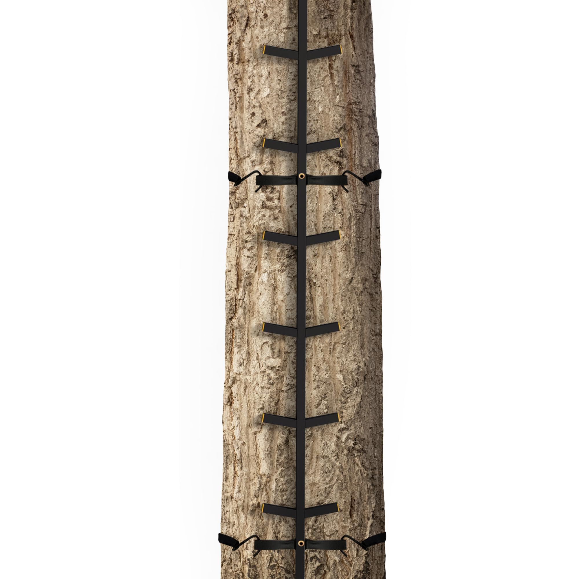 Muddy Quick Stick XL in-use on a tree stand ready for elevated viewing.