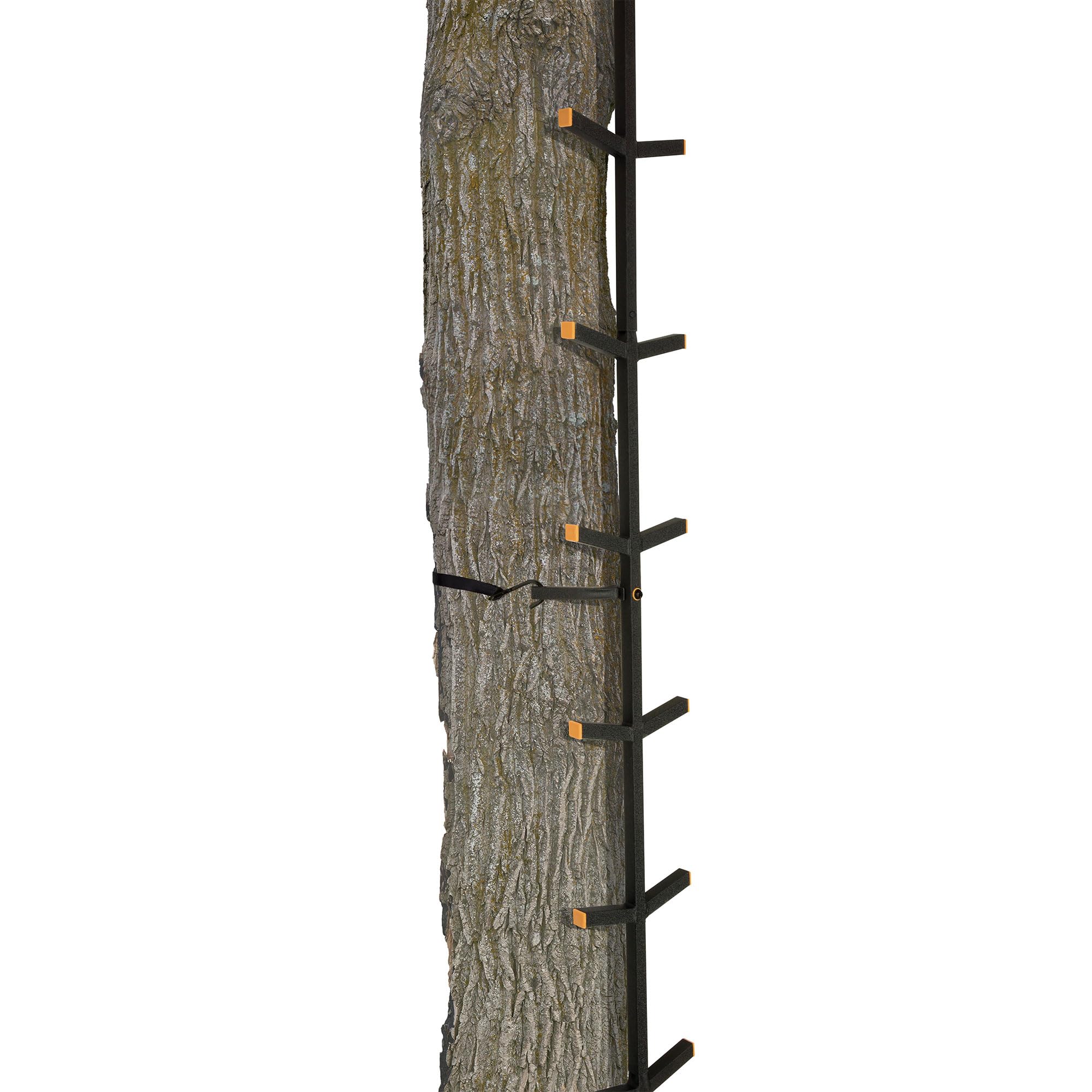 Muddy Quick Stick XL strap system shows simple, secure tree attachment.