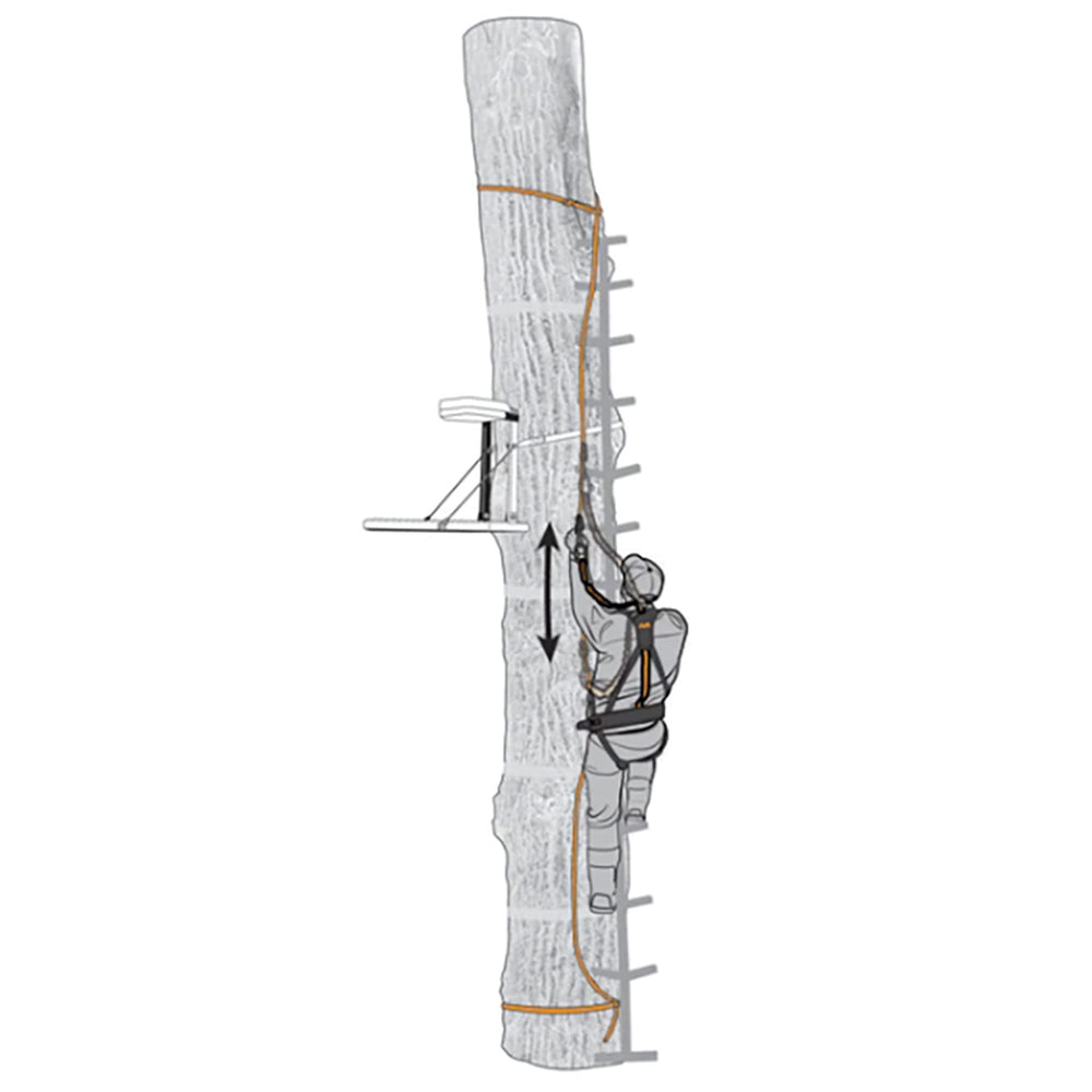 Two Prusik knots on MUDDY Safe-Line enabling smooth climbs