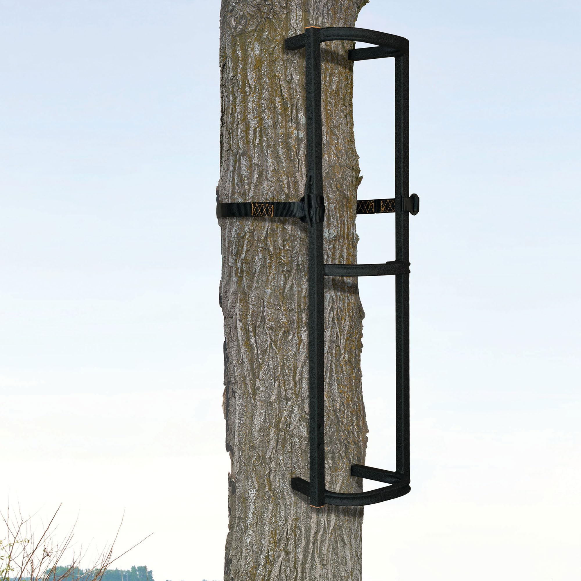 Sturdy steel Muddy construction supports up to 300 pounds for reliable use.
