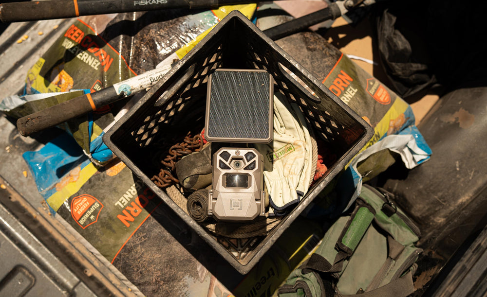 Multi-carrier LTE cellular connectivity