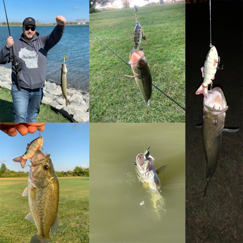 Swimbait lure in natural color pattern in water environment