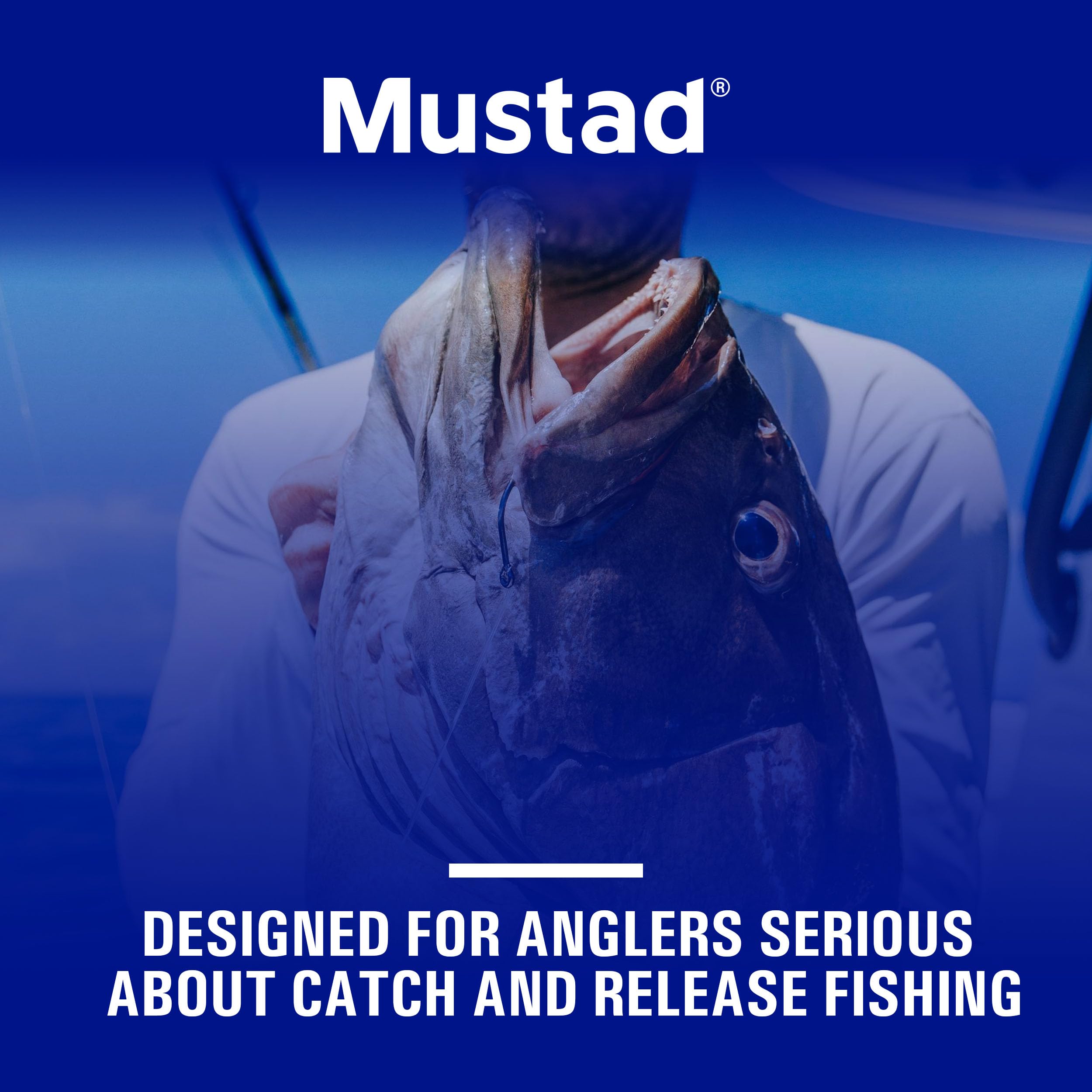 Mustad Demon Offset Circle 4X Strong 8/0 application layout shows versatility for large species