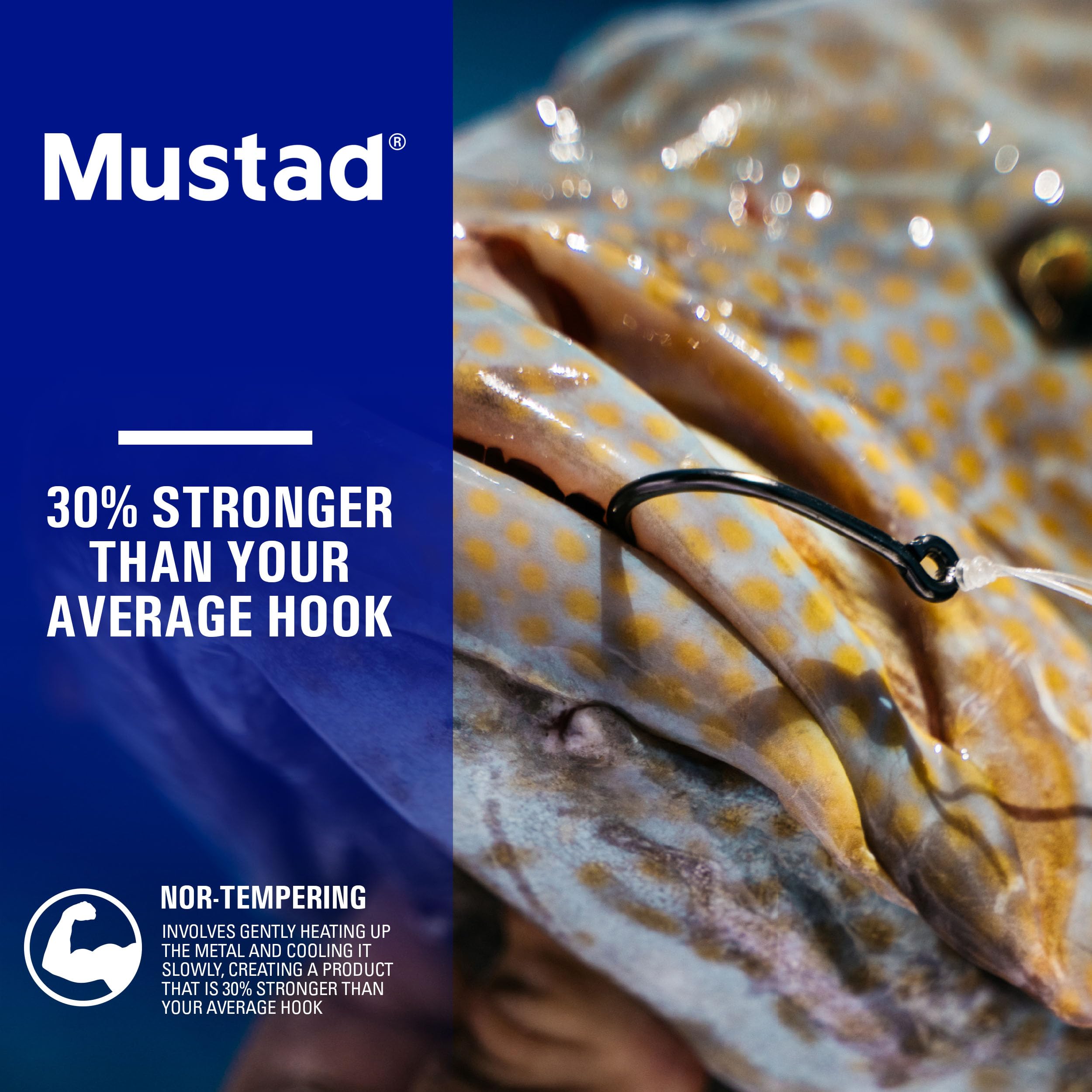 Mustad Demon Offset Circle 4X Strong 8/0 close-up point emphasizes ultra-point sharpness