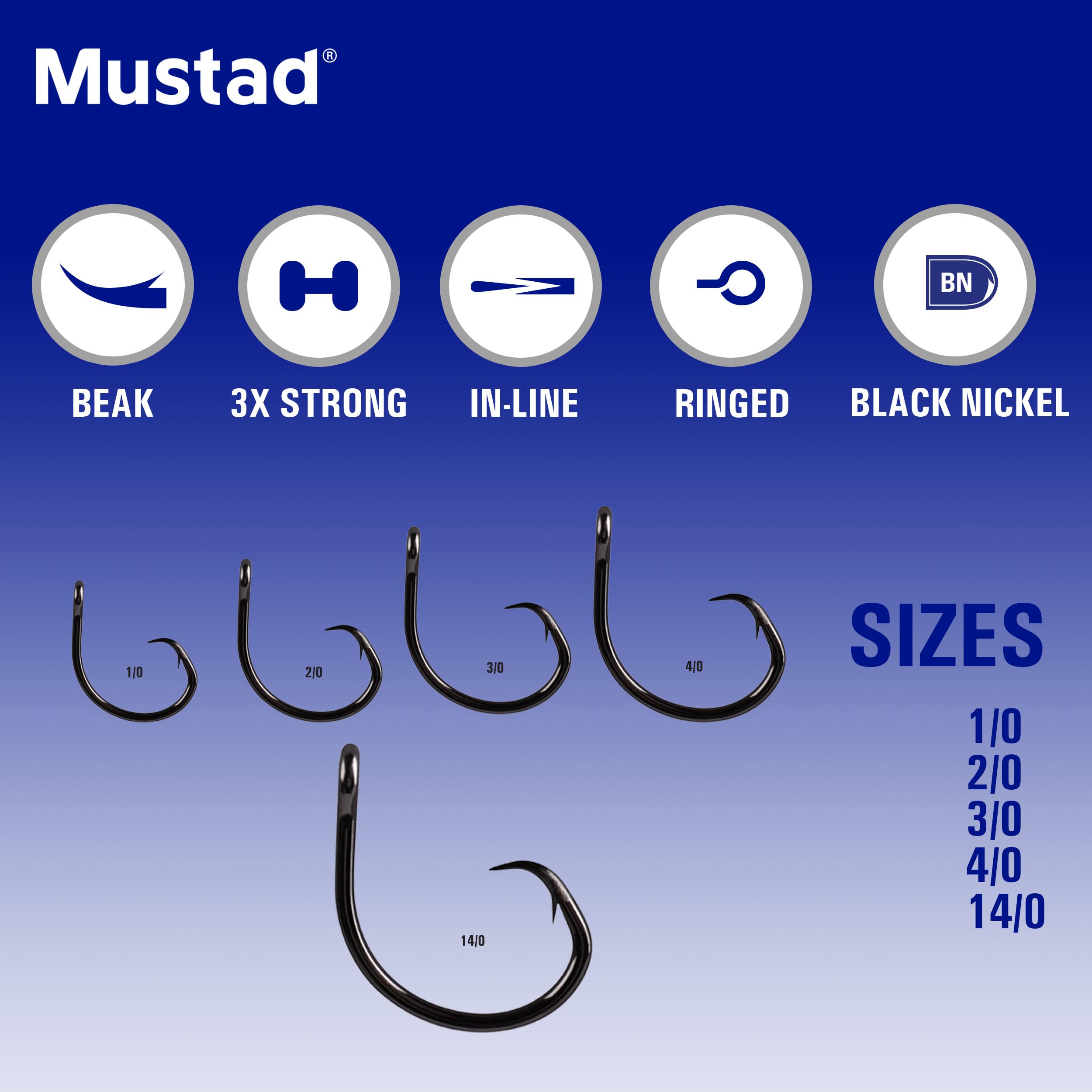 Mustad circle hook with live-bait setup for tarpon and marlin scenarios