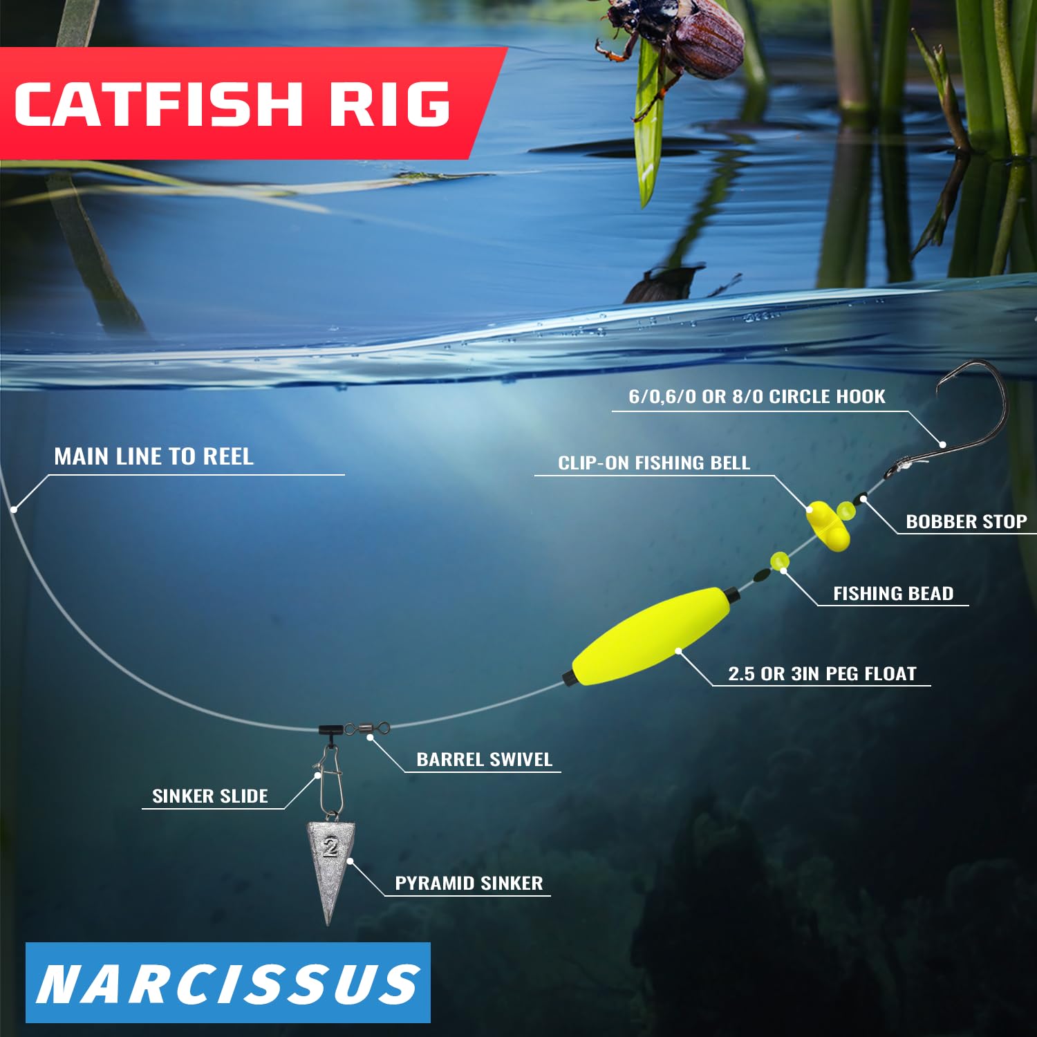 Versatile hooks configuration: 5/0 circle hooks with 6/0 and 8/0 singles and doubles