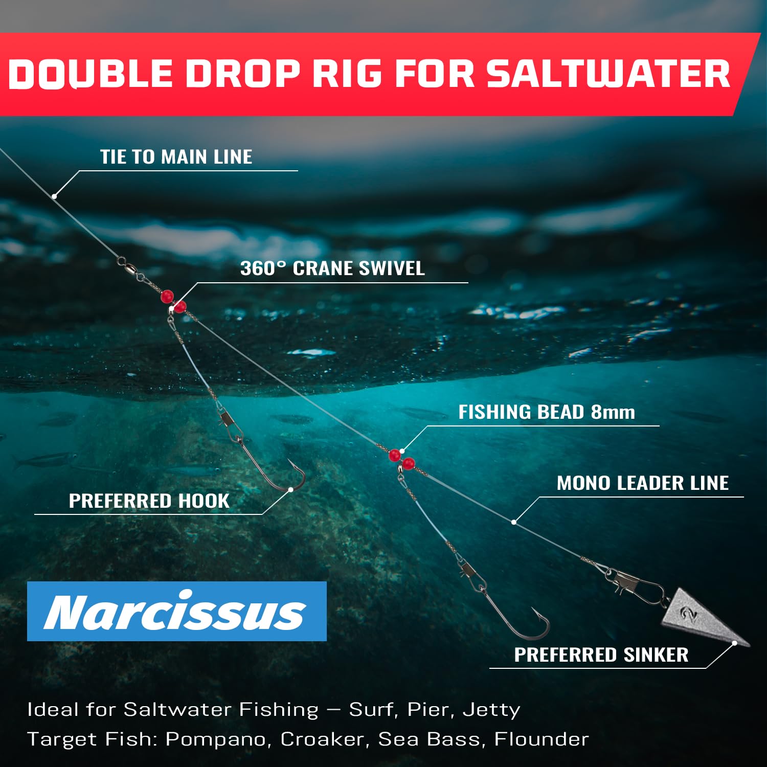 Narcissus saltwater-rig-target-species attracts snapper, bass, mackerel, and catfish more consistently.