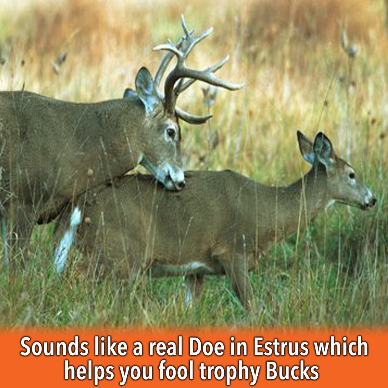 Nationwide Scents Deer Call adjustable reed ring for quick volume control