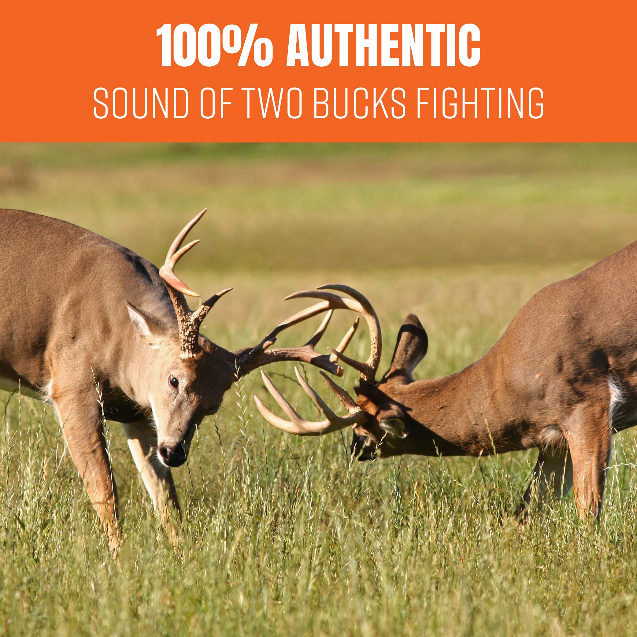 Nationwide Scents deer rattle bag ideal hunting gear for attracting bucks.
