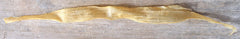 Natural Dried Deer Sinew long piece ideal for flexible leatherwork