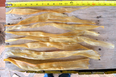 Natural Dried Deer Sinew pliable after soaking ready to separate into strands