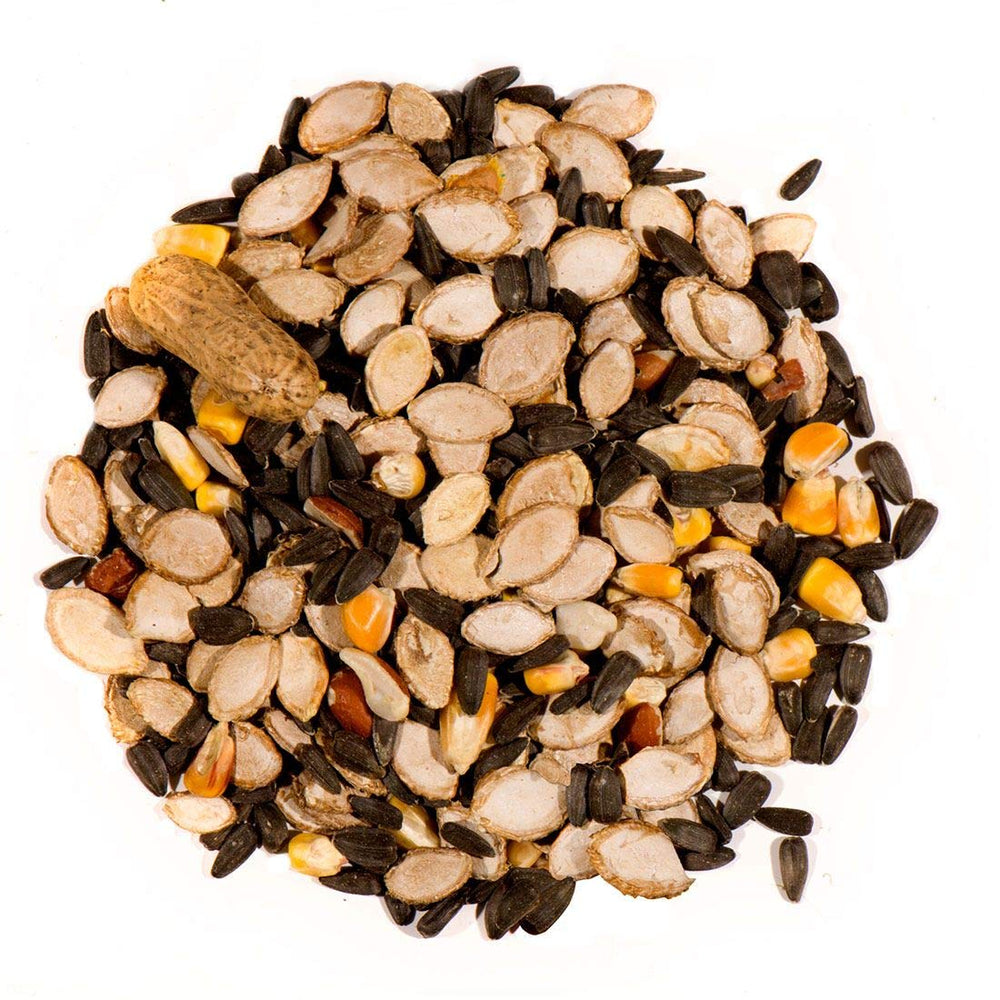 Nature's Nuts Chuck-A-Nut VSD-012027 feeding setup simplifies daily backyard wildlife feeding.