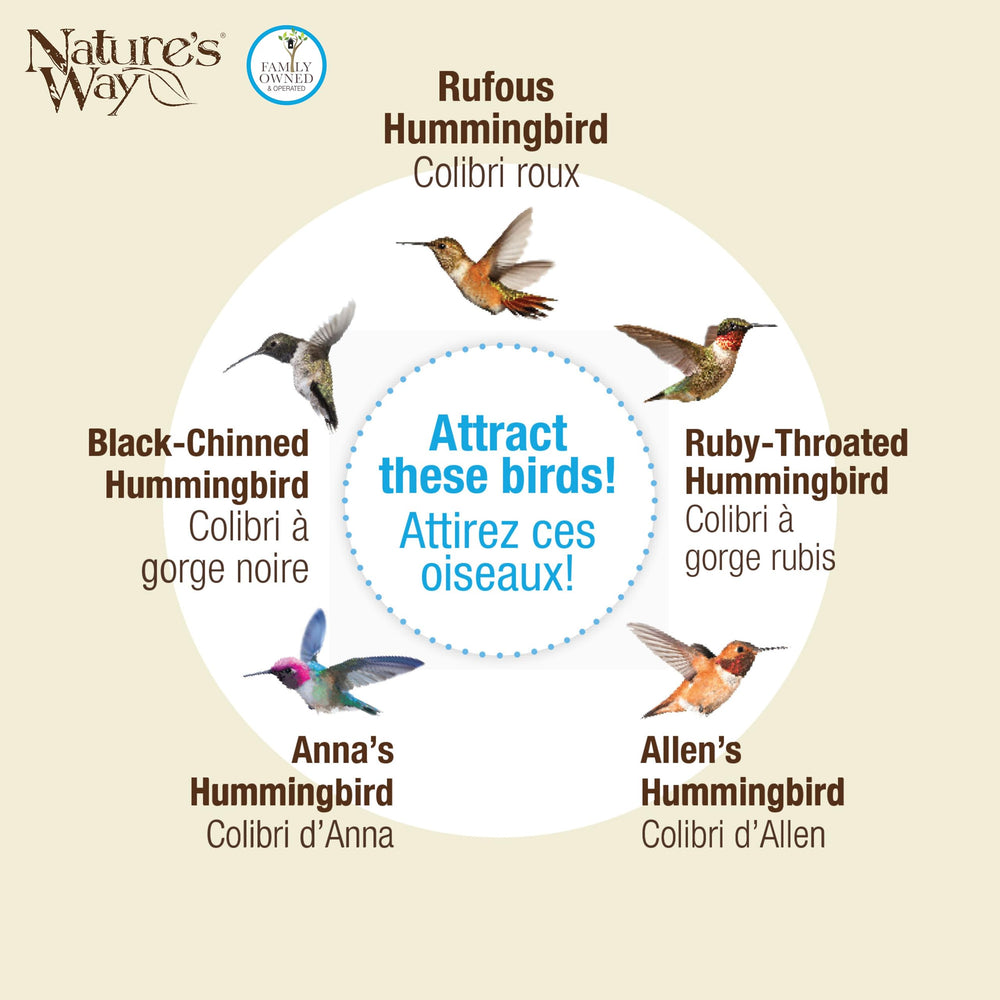 Nature's Way DGHF2 20 oz nectar capacity supports longer birdwatching sessions.