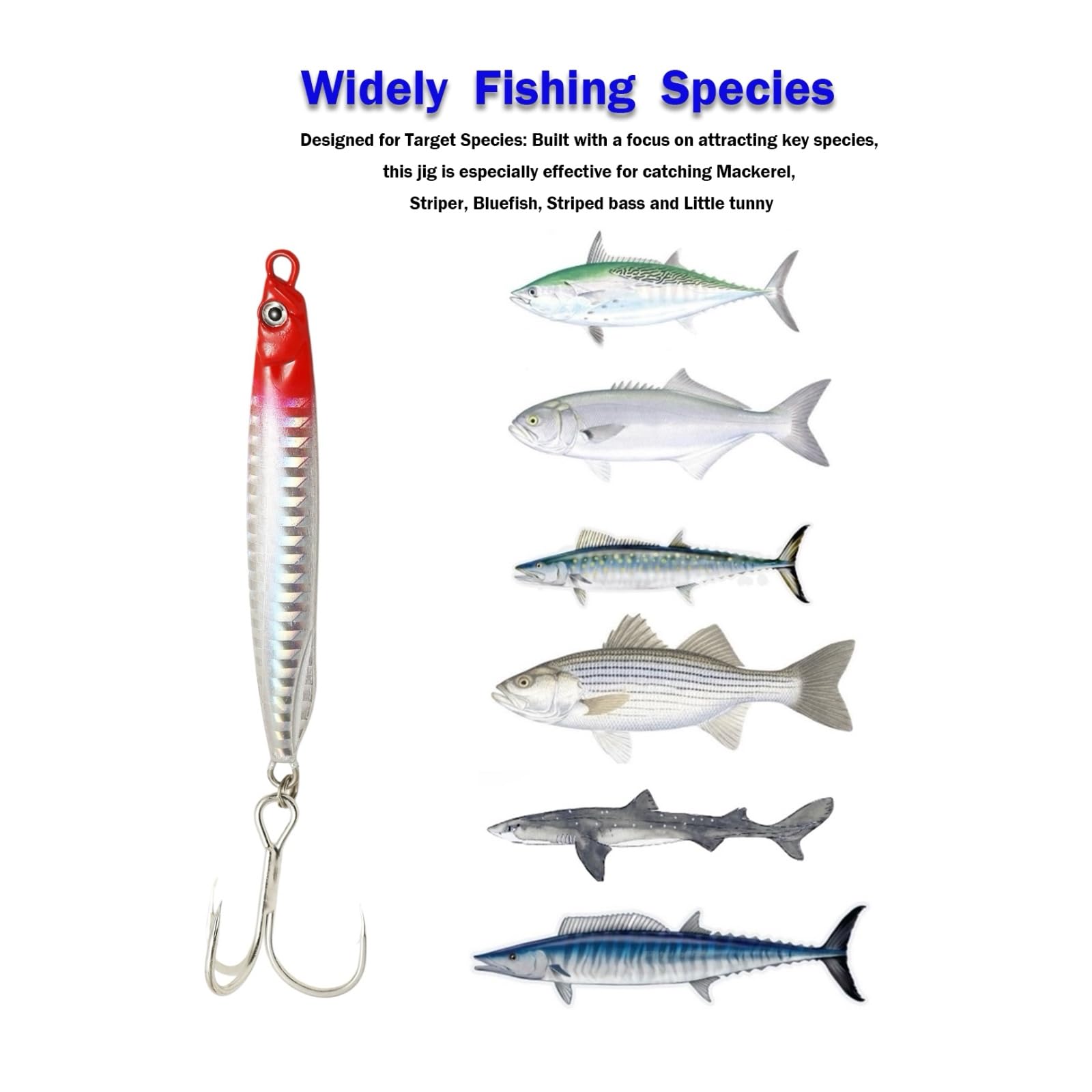 Navicatch boat-fishing-vertical-jigging-jig enables precise vertical drops from boats