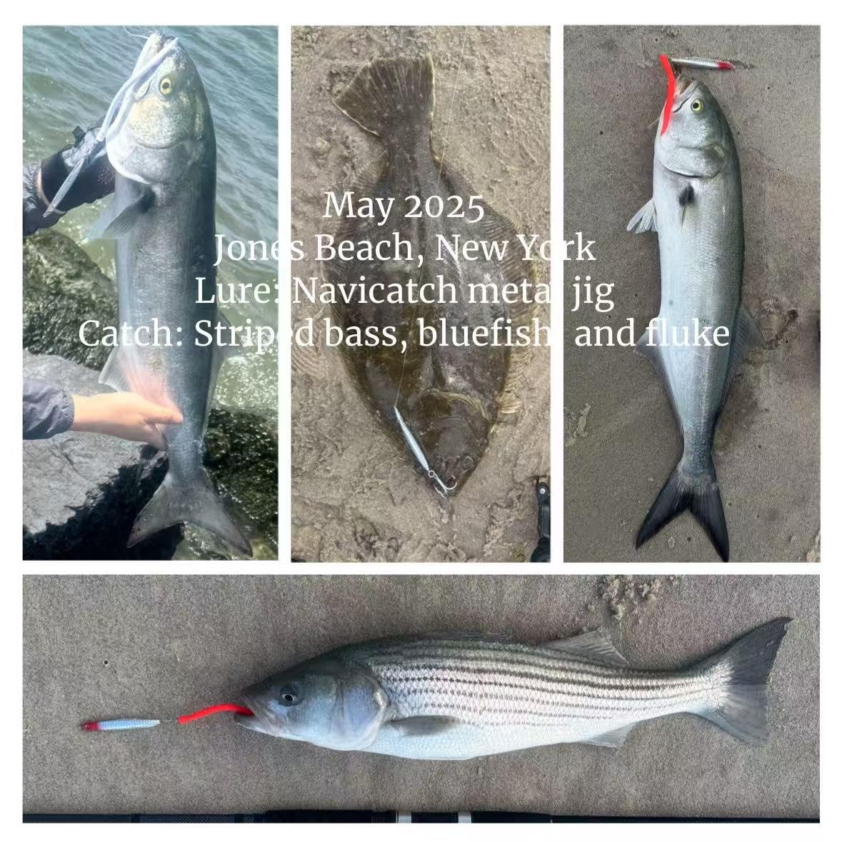 Navicatch durable-saltwater-construction photo underscores rugged performance in saltwater.