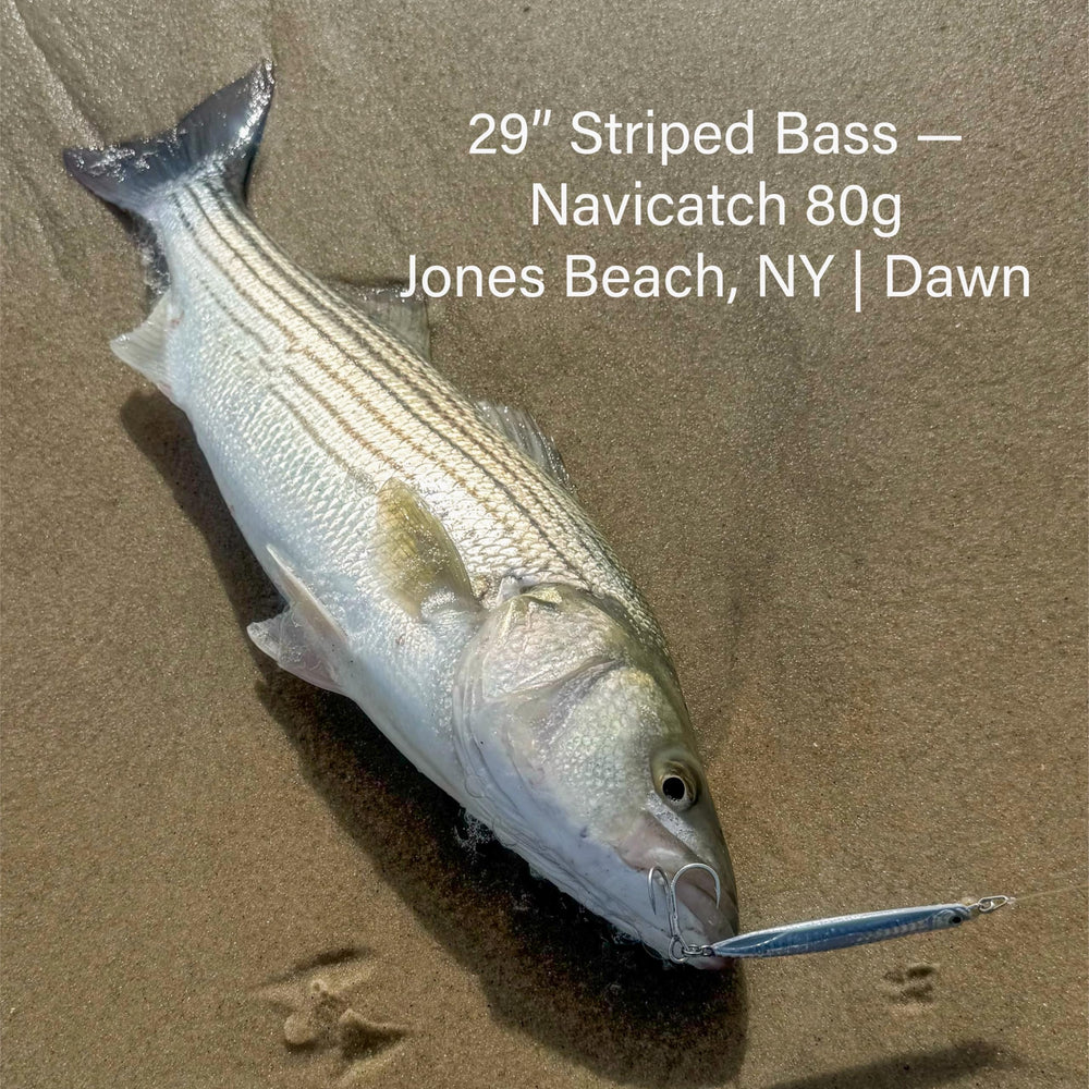 Navicatch metal-jigging image suggests reliable, multi-technique lure for bluefish and more.