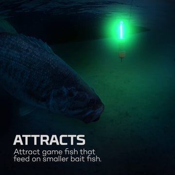 Close-up of Submerser 500 COB LED design for night fishing
