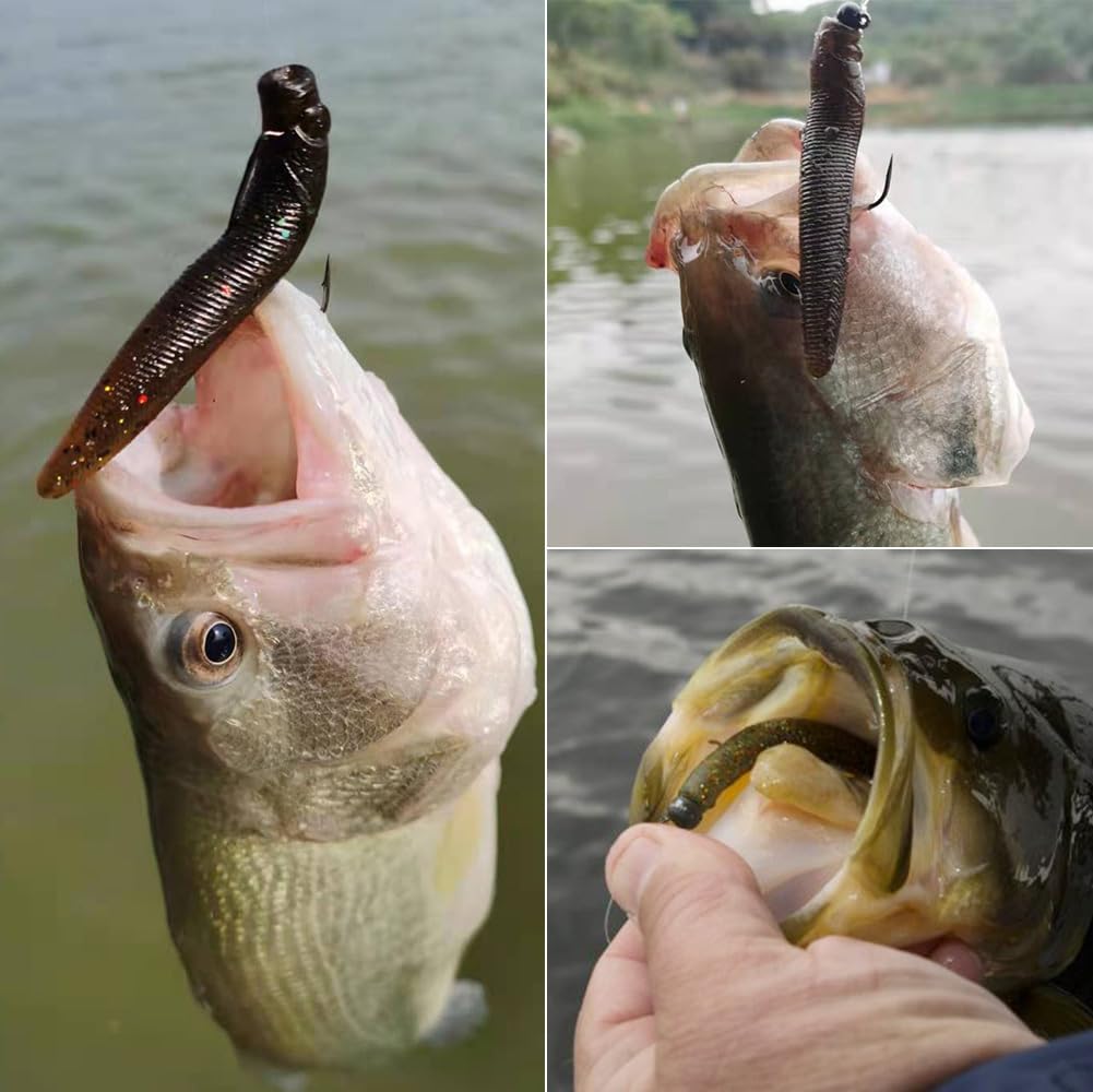 Bass angler using Ned Rig finesse kit