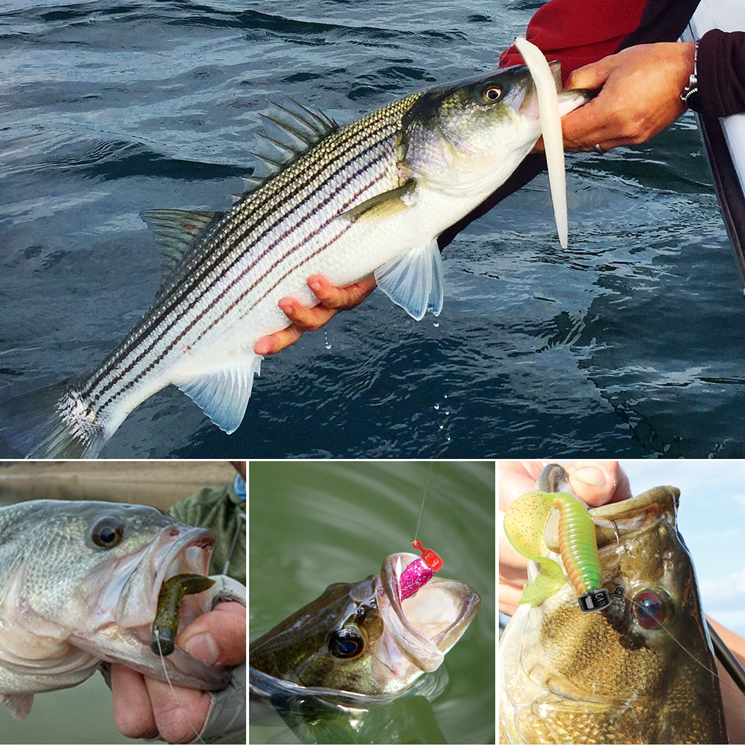 Complete Ned Rig kit with 20/25 pieces for bass, crappie, trout