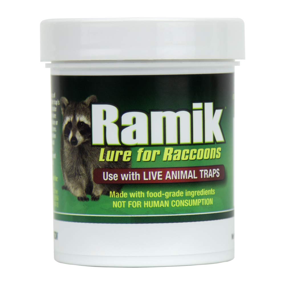 Neogen Ramik 951 raccoon lure bottle demonstrates safe, food-grade formula.