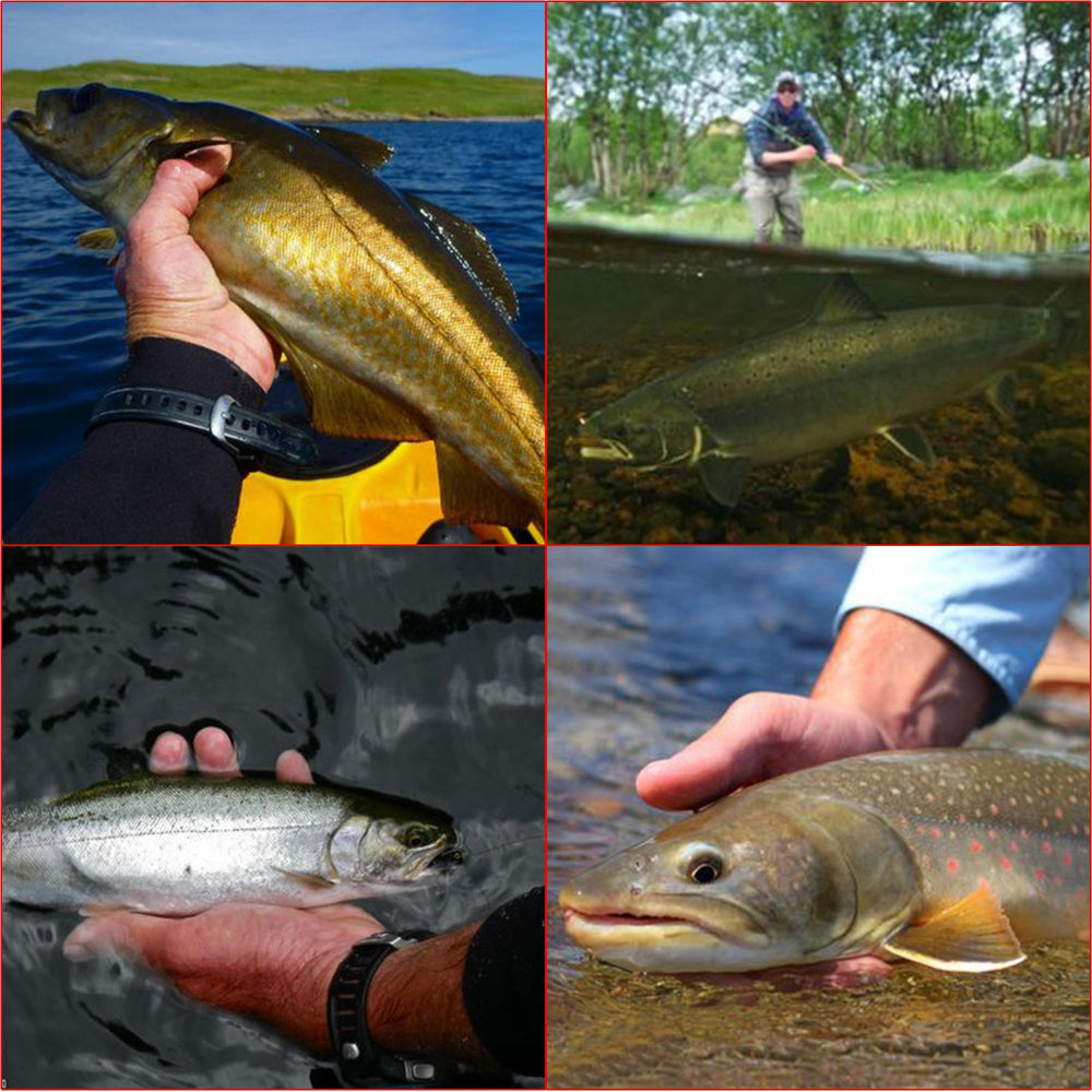 Complete NetAngler fishing kit with case