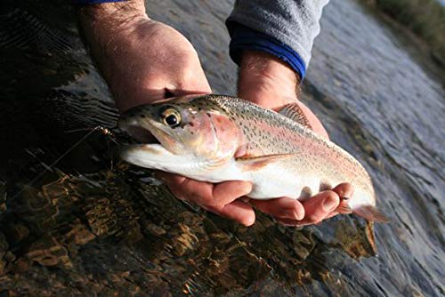 Classic teardrop design NetAngler fly fishing net
