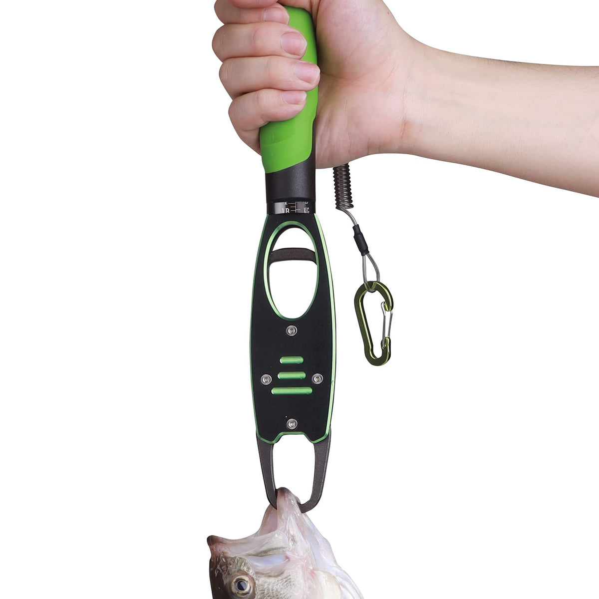 Night Cat Fish Lip Gripper with Scale open jaw