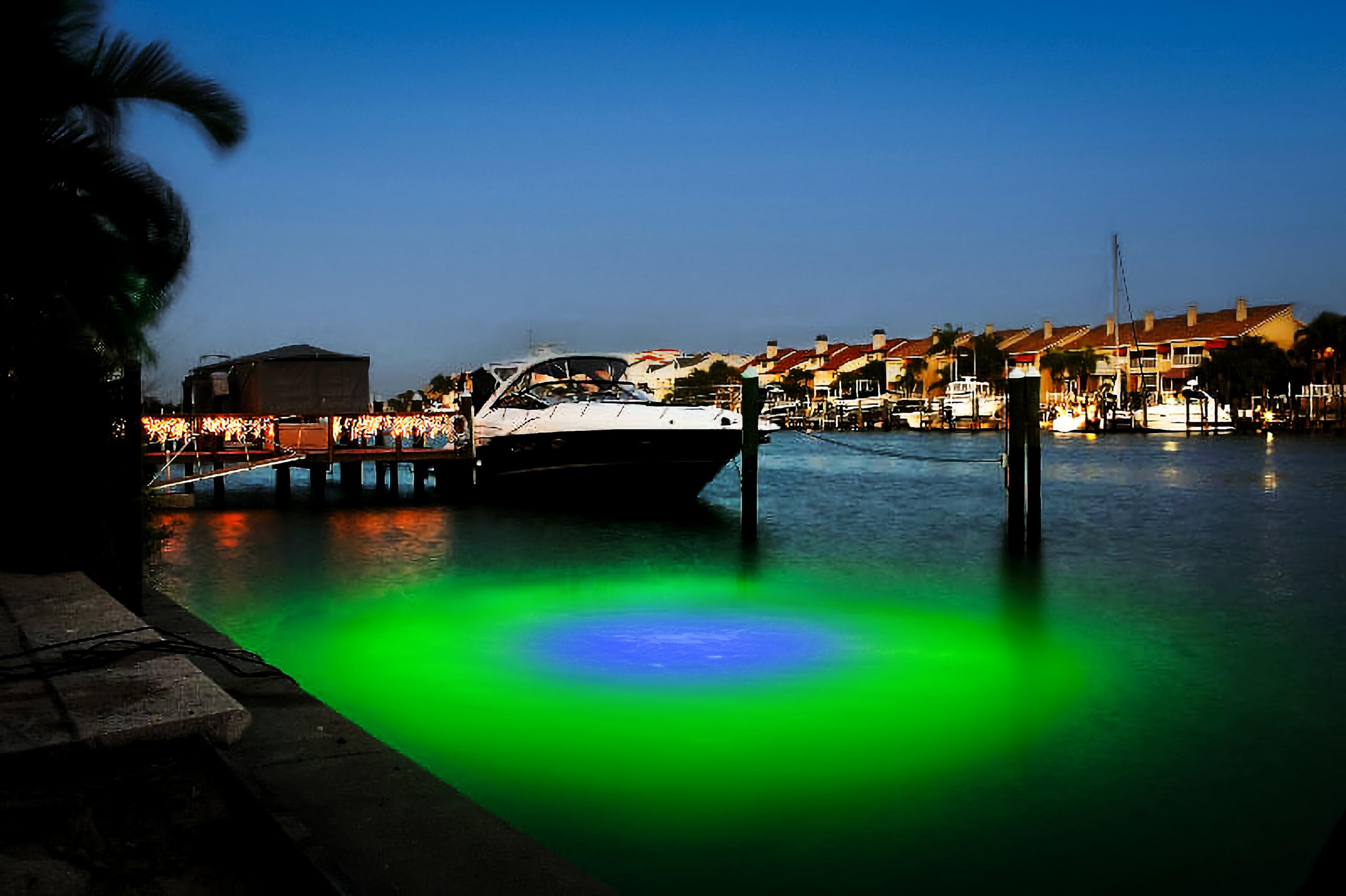 Night fishing boosted by 32,000-lumen Mega-Watt Iris illuminating water