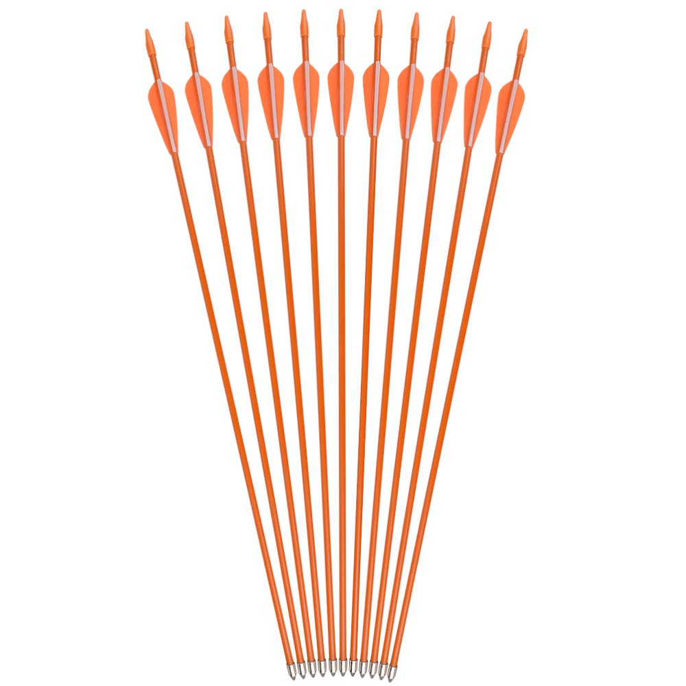 NIKA ARCHERY 12-piece pack highlights kids-friendly arrows for family practice.