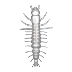 NIKKO Hellgrammite 4.25in Peppermilk lure in water for realistic action and wildlife attraction