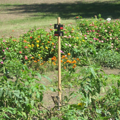 Nite Guard Solar predator light at dusk flash deters garden and livestock threats