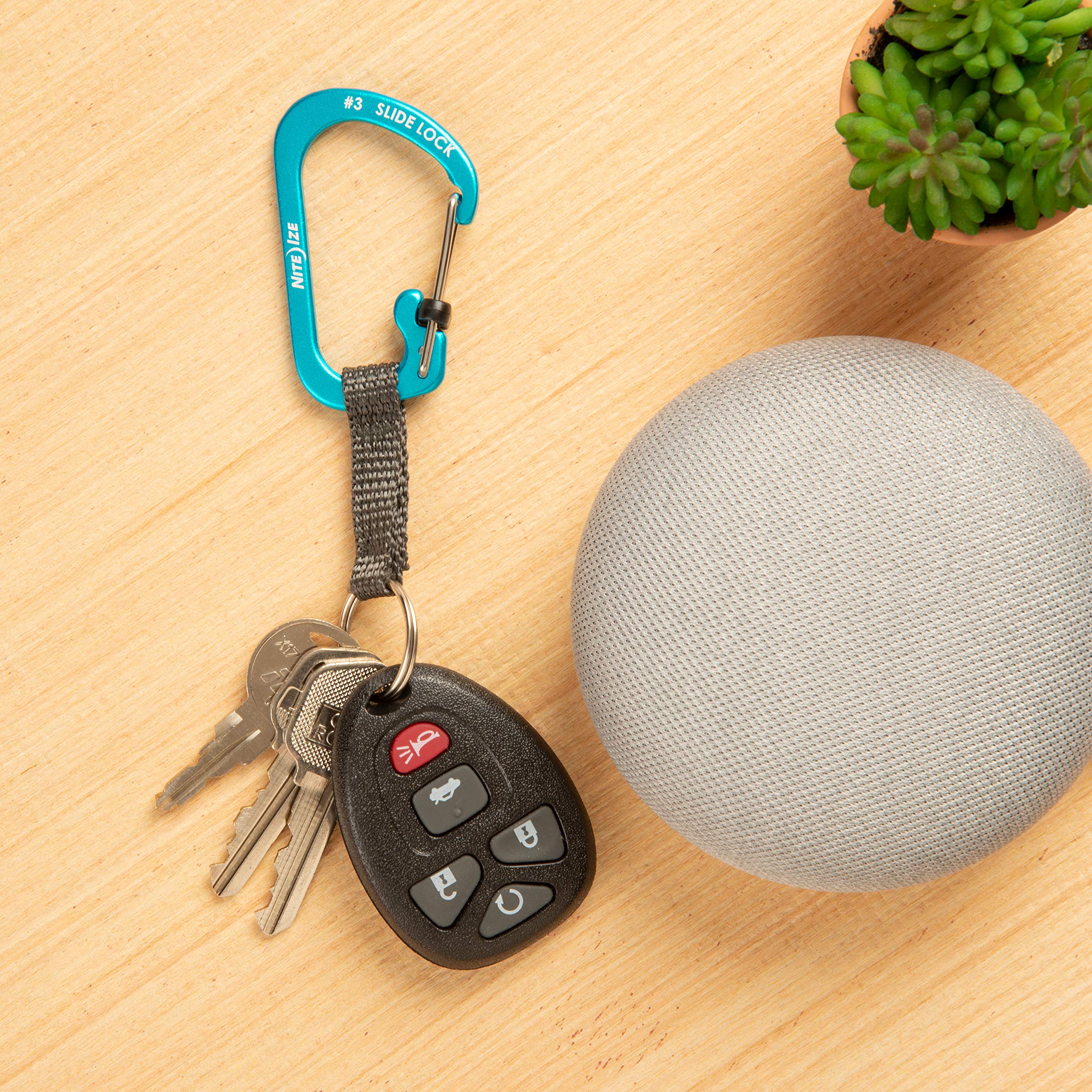 Blue accents highlight durable, low-profile design of the carabiner.