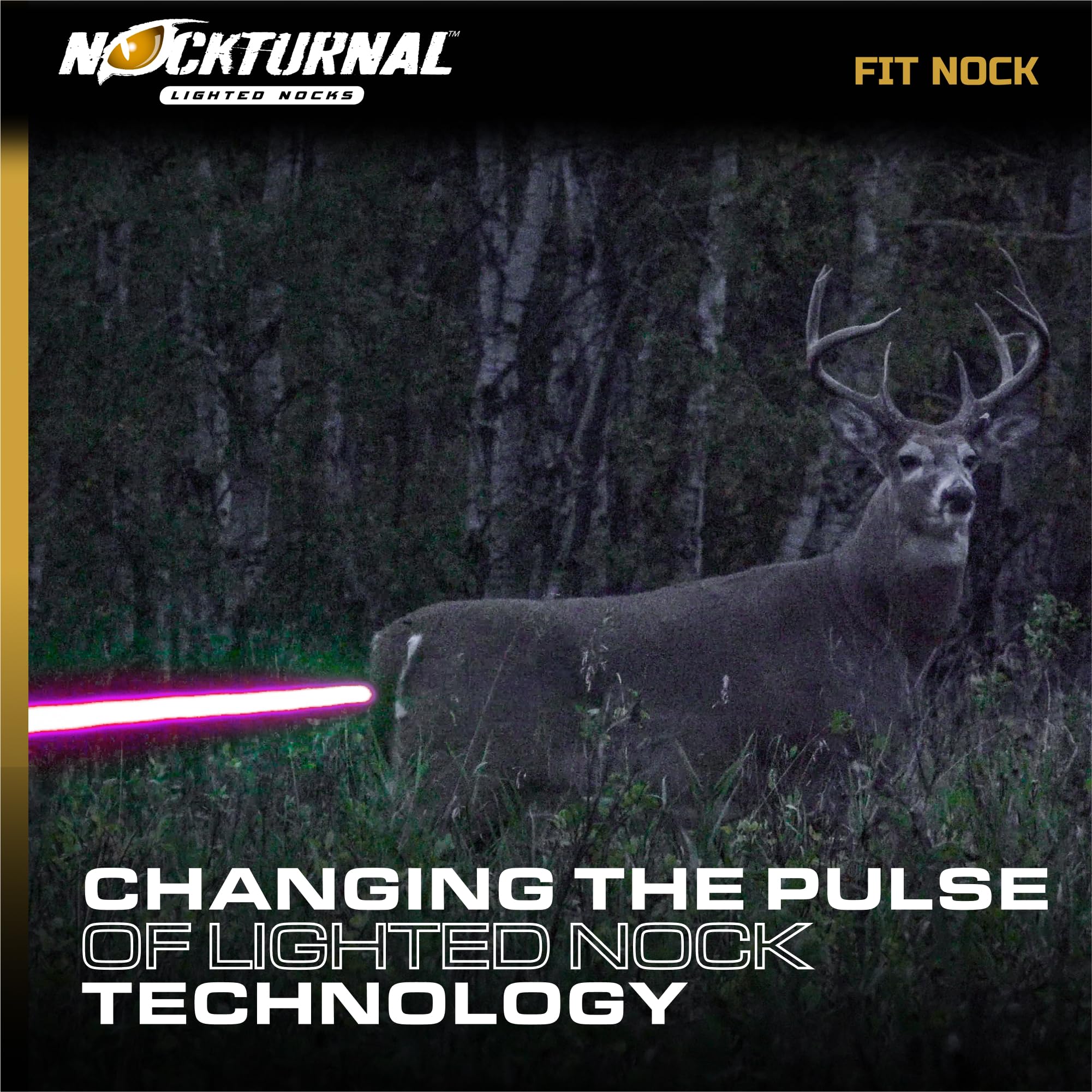 Nockturnal-S green light improves low-light visibility and retrieval.