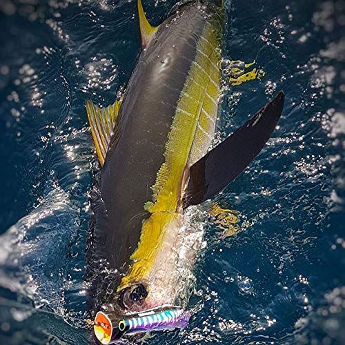 Nomad Design Chug Norris lure topwater action captures surface commotion to trigger bites.