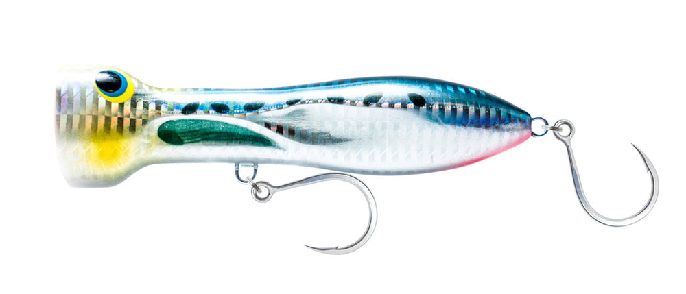 Nomad Design Chug Norris front view in sardine color for offshore topwater strikes.