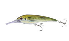 Nomad Design DTX Minnow 180 lure ready for saltwater trolling, dives to 10 ft.
