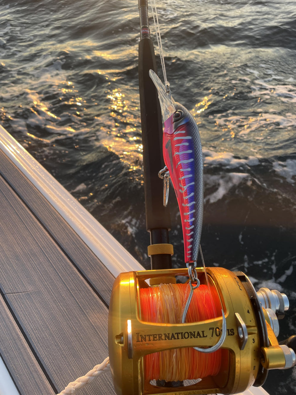 Nomad Design DTX Minnow 200 on a trolling setup for 12+ knot runs.