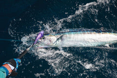 Nomad Design Madmacs bkk-diablo-5x-hooks closeup reveals premium hardware ready to fish.