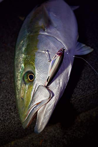 Nomad Design Madscad 95 sinking lure demonstrates strong casting performance.