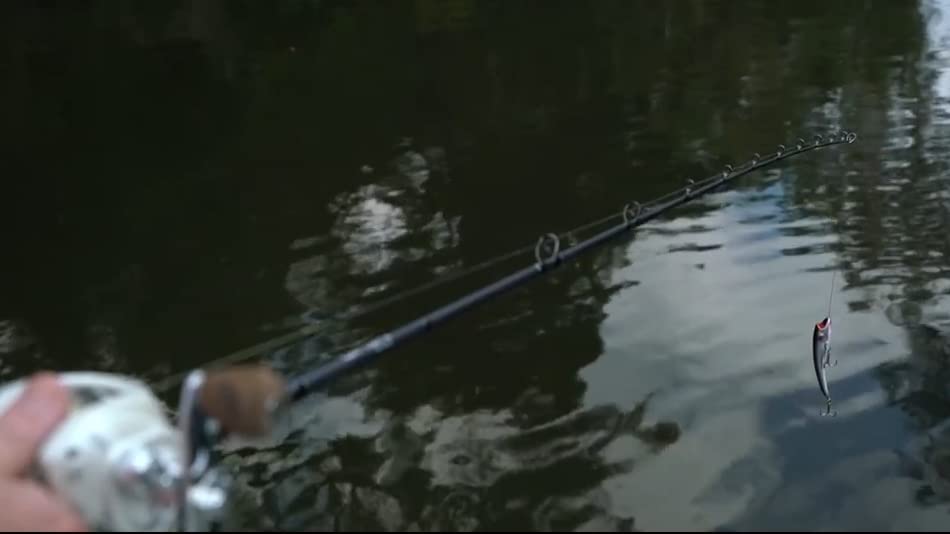 Nomad Maverick 90 water action illustrating suspending performance in Purple Shad
