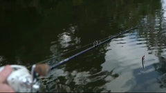 Nomad Maverick 90 water action illustrating suspending performance in Purple Shad
