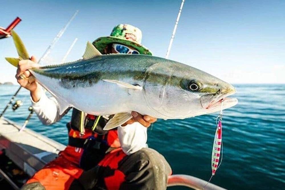 Nomad Design Streaker 80G Pink Sardine hook setup with BKK Jig Assist