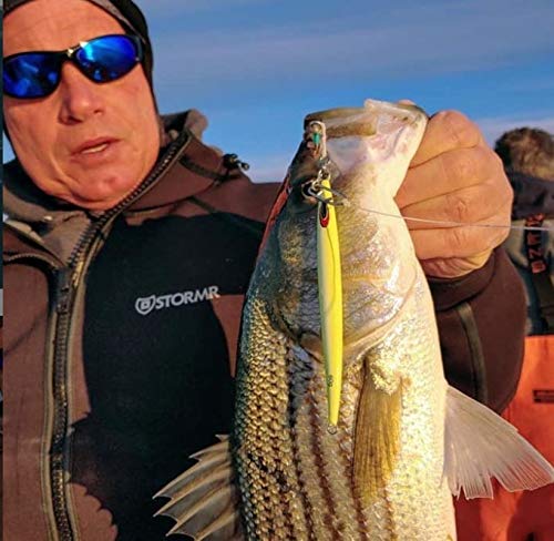 Nomad Design The Streaker Jig 120g in action for versatile saltwater use.