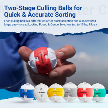 Non-piercing smart clips securing fish safely