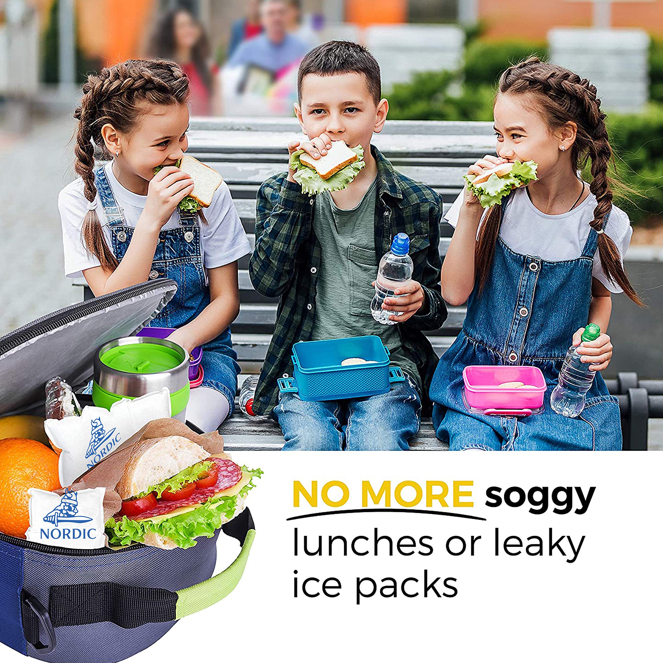 Nordic Pure Ice Packs ideal for picnics and outdoor meals, ready to chill beverages.