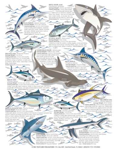 North Atlantic coast saltwater fish identification quick reference guide