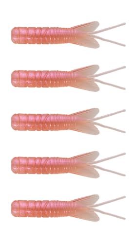 Northland Pan-Candy Larvae Bug glider-wings highlight graceful fall that triggers bites.