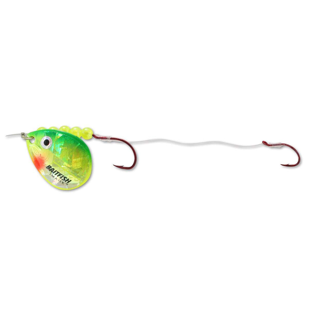 Northland Baitfish Spinner rigs with minnows for natural movement.