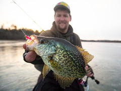 Northland Tackle Ice plastics provide versatile color options for various water conditions.